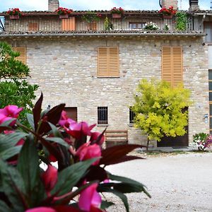 Camere I Monelli